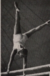 Olympic Games 1936 Käthe Sohnemann, gymnast collective picture, no postcard