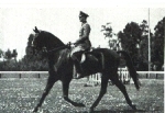 Olympische Spiele 1936 Pollay, Sieger im Dressurreiten