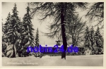 08209 Reiboldsgrun Zobischhaus *ca.1950
