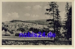 08209 Vogelsgrun *ca.1950
