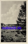 08223 Grunbach Vogtland o 1954