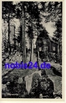 08237 Steinberg Vogtland Aussichtsturm *ca.1950