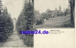 08209 Reiboldsgrun Zobisch Haus o 1906
