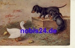 Dachshund with goose artist card o 1916