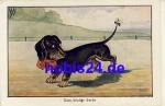 Dackel mit Biene *ca.1920