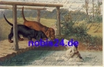 Dachshund on Bridge o1907