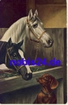 Dachshunds and Horses Artist's Card o 1908