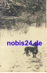 Dackel im Schnee Künstlerkarte *ca.1930