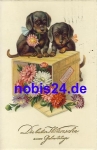 Dachshund with mail box o 1928