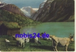 Loenvann Nordfjord NORWEGEN *ca.1940