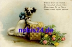 Japan Chin dog with flowers o 1917