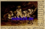 Young dogs artist card o 1902