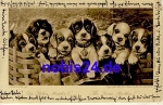 Young dogs artist card o 1902