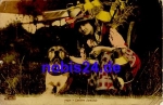 Lady dog ​​fashion o1915