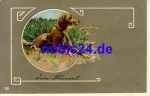Hunting dog embossed card o 1907