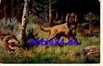 Jagdhund Künstlerkarte * ca.1915