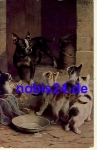 Dog and cats artist card * around 1915