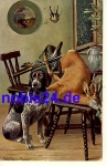 Jagdhund Künstlerkarte Müller München o 1910
