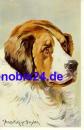St. Bernard dog artist card Donadini *ca.1910