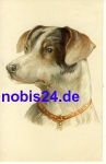 Jack Russell Terrier artist card o ca.1915