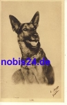 German shepherd o 1927
