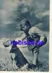 Terrier Hunde und Kind o 1960