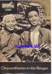 Chrysanthemums in the Mountains - Chinese Movie ​​​​​​​27/60 Progress Program