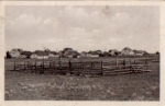 18565 Neuendorf Hiddensee o ca. 1950