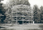 Pillnitz Dresden Kamelienbaum im Schlosspark *1977 Hanich1401