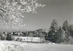 01773 Altenberg Erzgebirge *1977 Hanich1472