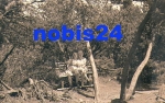 01773 Georgenfeld Hochmoor *1957 Hanich1155