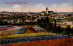 06484 Quedlinburg Blumenfelder, o 31.12.1929