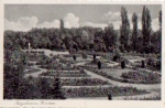 06526 Sangerhausen Rosarium * ca. 1940