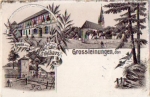 06528 Gossleinungen Südharz Litho, o 2.9.1899