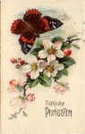 butterfly on cherry blossom branch 5/18/1929
