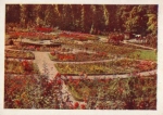 06526 Sangerhausen * ca. 1960