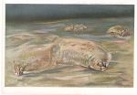 Flat fish color adapted to the environment * ca. 1960