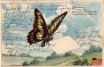 Butterfly with letter spring post embossed card o 28.7.1906