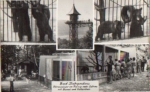 Bear kennel at the elevator in Bad Schandau on August 3, 1966