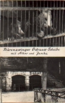 bears Kennel Ostrauer Scheibe with Alko and Janka br. around 1960