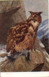 Eulen, Uhu, Künstlerkarte * ca. 1930