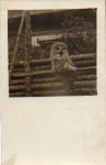 Owl, Tawny Owl, real photo used circa 1920