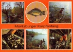 Moritzburg carp fishing * ca. 1980