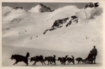 Polar dogs on the Aletsch Glacier * around 1950