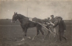 Trabrennen, Sulky  Echtfoto *ca. 1930