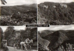 07427 Schwarzburg Horse-drawn carriage used. 8/26/1980