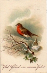 Bird, Rotkelchen on branch, artist card, o 31.12.1933