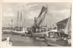 18565 Vitte Insel Hiddensee Hafen o 30.07.1958