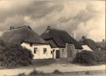 18565 Hiddensee Strassenansicht * ca. 1930 k. AK.