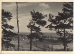 Hiddensee Kloster von Dornbusch * ca. 1955